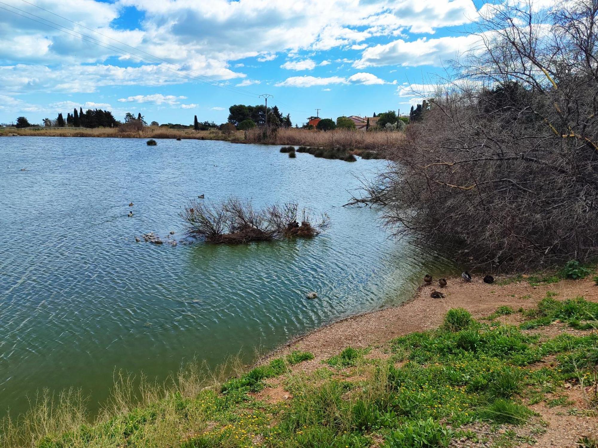 ויק-לה-גארדיול Mobilhome Au Camping Les Salins De La Gardiole Ex Camping Europe מראה חיצוני תמונה